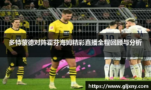 多特蒙德对阵霍芬海姆精彩直播全程回顾与分析